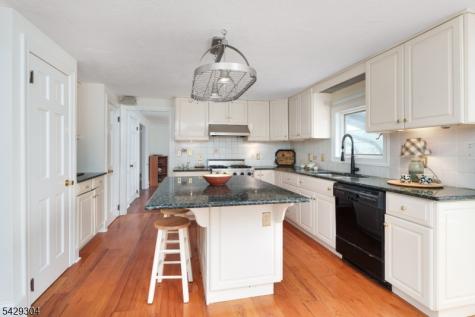 208 Mountain Road East Amwell NJ 08551