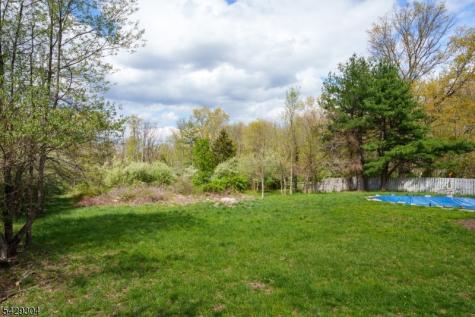 208 Mountain Road East Amwell NJ 08551