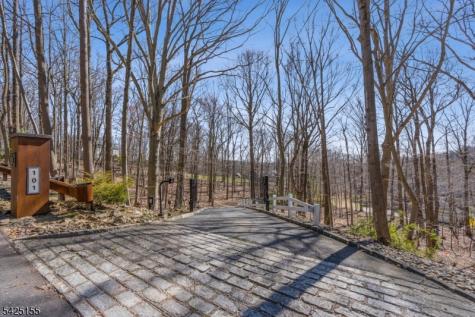 101 Rippling Brook Way Bernardsville NJ 07924