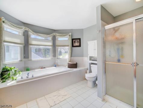 8 Mulberry Court Roxbury NJ 07876