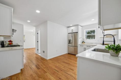 207 Lake Shore Drive Parsippany-troy Hills NJ 07034
