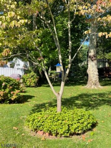 52 Otoole Street Westwood NJ 07675