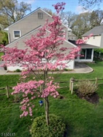 52 Otoole Street Westwood NJ 07675