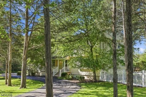 20 Preston Terrace Bedminster NJ 07921