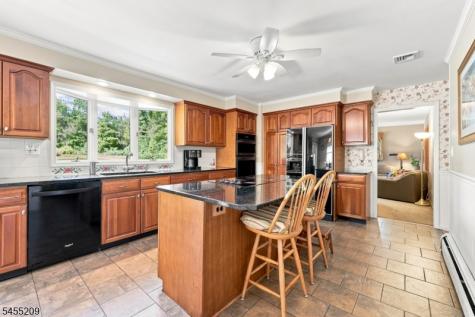 20 Preston Terrace Bedminster NJ 07921