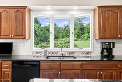 20 Preston Terrace Bedminster NJ 07921