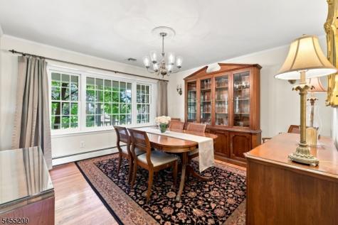 20 Preston Terrace Bedminster NJ 07921