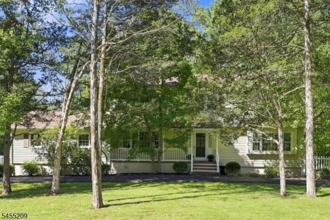 20 Preston Terrace Bedminster NJ 07921