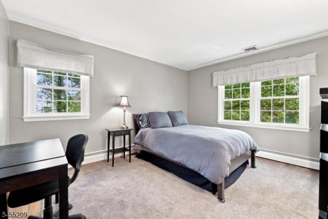 20 Preston Terrace Bedminster NJ 07921
