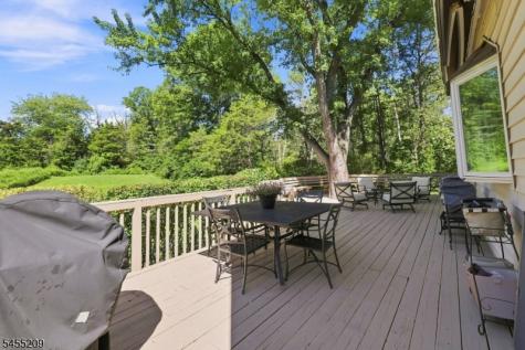 20 Preston Terrace Bedminster NJ 07921
