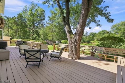 20 Preston Terrace Bedminster NJ 07921
