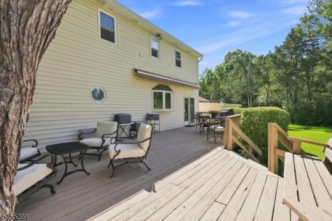 20 Preston Terrace Bedminster NJ 07921