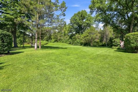 20 Preston Terrace Bedminster NJ 07921