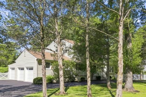 20 Preston Terrace Bedminster NJ 07921
