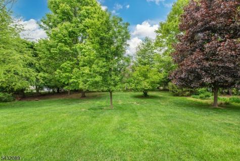104 Shrewsbury Drive Livingston NJ 07039