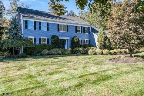 135 Woods End Drive Bernards NJ 07920