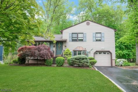 92 Louis Street Hanover NJ 07981