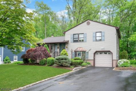 92 Louis Street Hanover NJ 07981