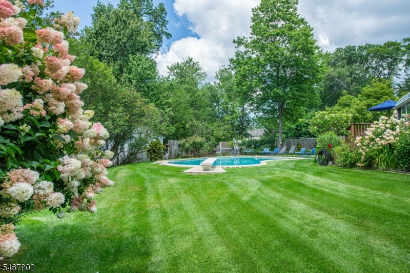 33 Underwood Road Montville NJ 07045