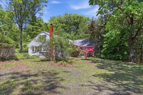 9 Roosevelt Road Readington NJ 08889