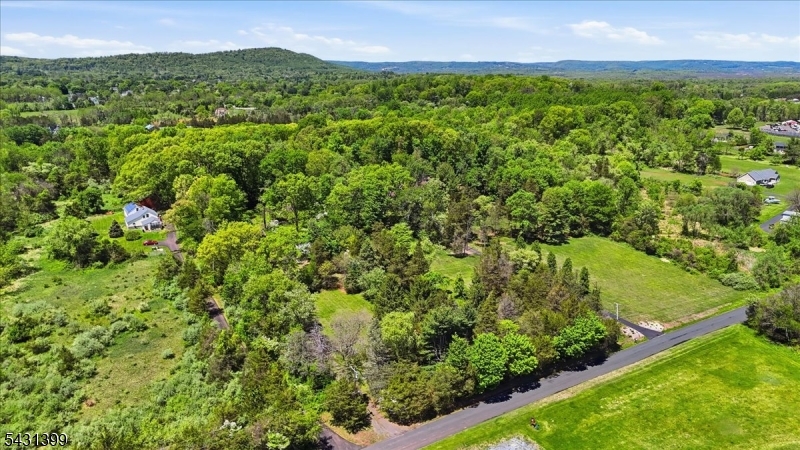 9 Roosevelt Road Readington NJ 08889
