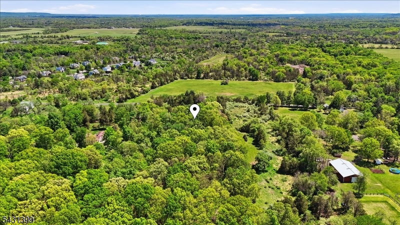 9 Roosevelt Road Readington NJ 08889