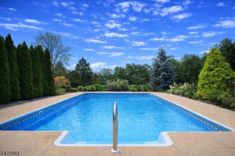1 Demott Drive Readington NJ 08889
