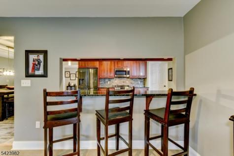 1 Demott Drive Readington NJ 08889