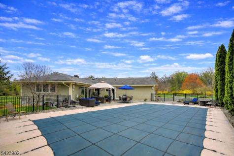1 Demott Drive Readington NJ 08889