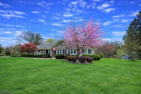 1 Demott Drive Readington NJ 08889
