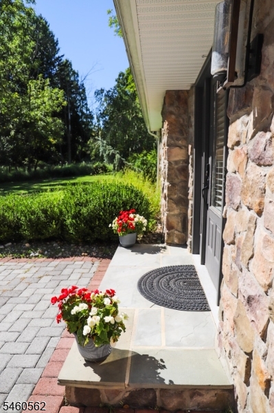 3 Openaki Road Randolph NJ 07869