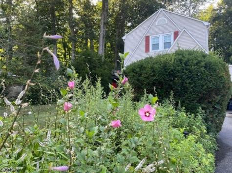 8 Forest Road Mount Olive NJ 07828