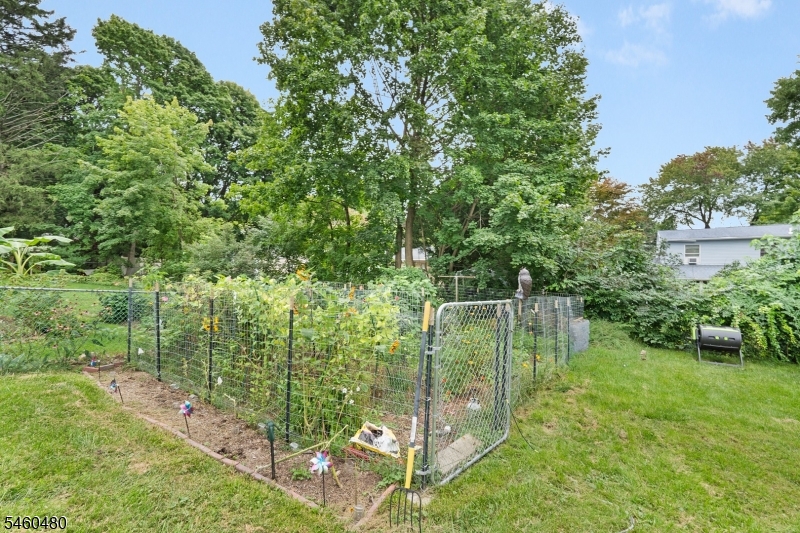 5 Dalrymple Street Randolph NJ 07869