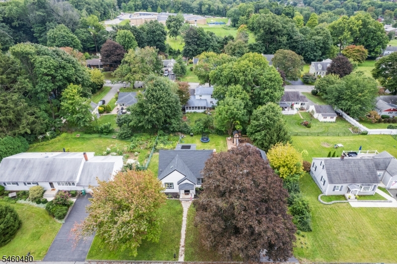 5 Dalrymple Street Randolph NJ 07869
