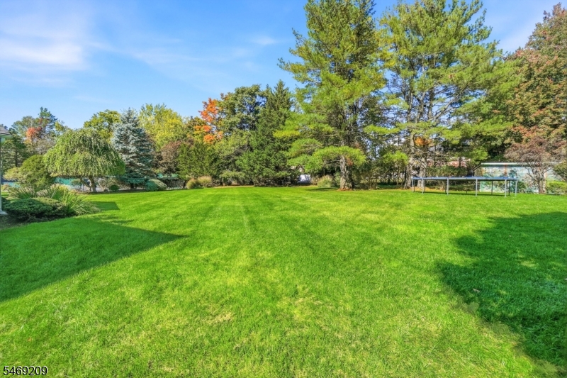 4 Tremont Terrace Livingston NJ 07039