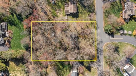 132 Goltra Drive Bernards NJ 07920