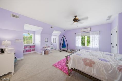 2 Hillas Lane Chester NJ 07930
