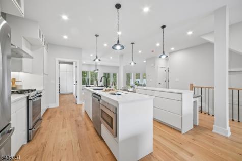 136 Irwin Street Springfield NJ 07081