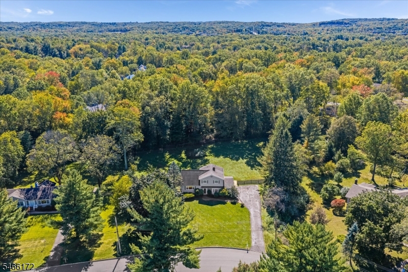 236 Lurline Drive Bernards NJ 07920