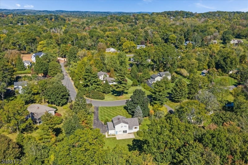 236 Lurline Drive Bernards NJ 07920
