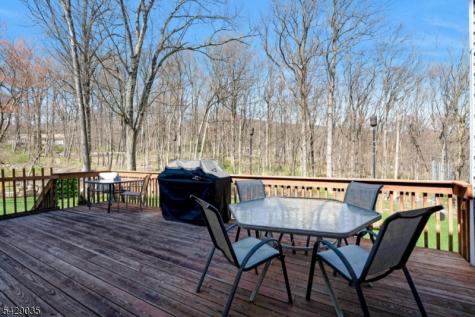 13 Greenfield Hill Sparta NJ 07871