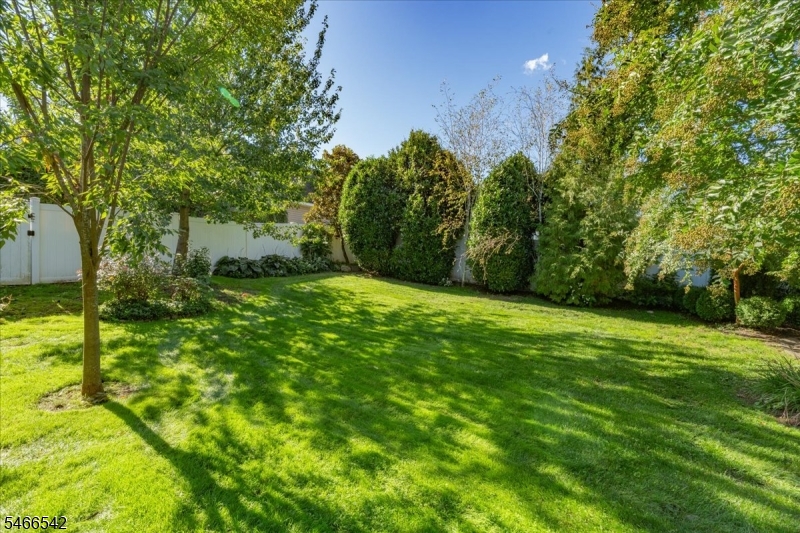 16 Hillside Place Cranford NJ 07016