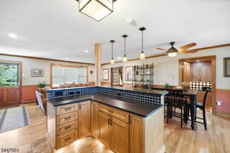 133 Sandra Drive Parsippany-troy Hills NJ 07054