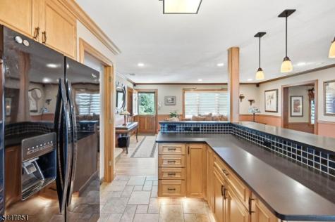133 Sandra Drive Parsippany-troy Hills NJ 07054