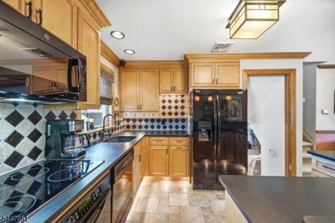133 Sandra Drive Parsippany-troy Hills NJ 07054