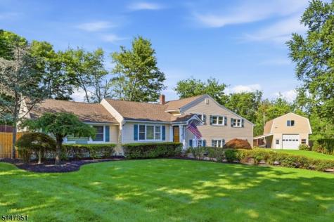 133 Sandra Drive Parsippany-troy Hills NJ 07054