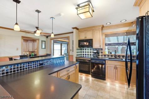 133 Sandra Drive Parsippany-troy Hills NJ 07054