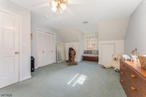 293 Stanton Mountain Road Clinton NJ 08833