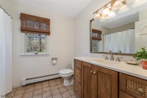 293 Stanton Mountain Road Clinton NJ 08833