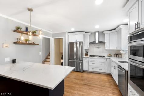 156 Wentz Avenue Springfield NJ 07081